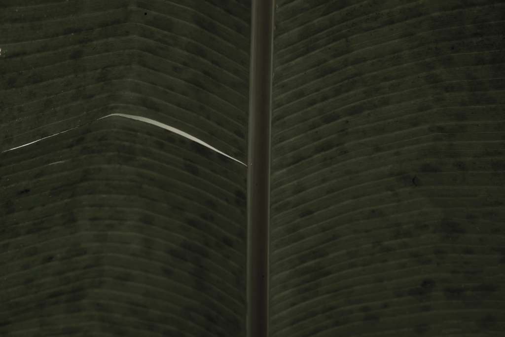 konekt_hero_background